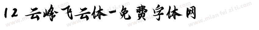 12 云峰飞云体字体转换